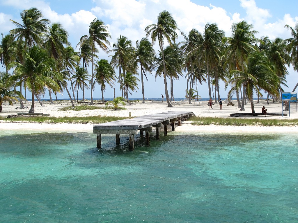 IMG_0310 (1) IMG_0310 (1)